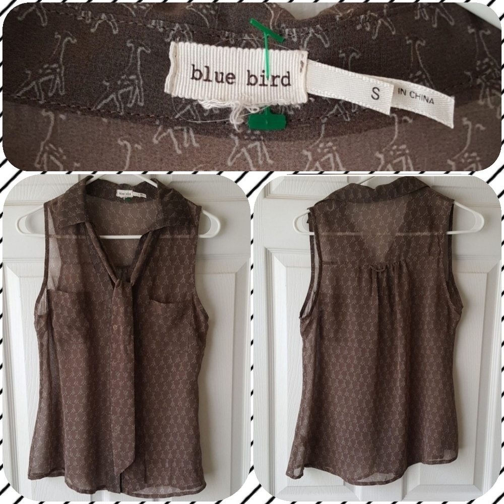 Blue bird giraffe brown sheer top with collar tie